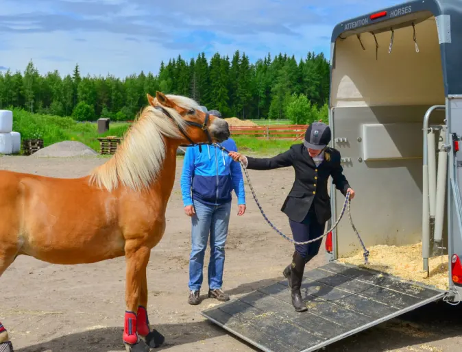 Traveling Trailer for Horse 